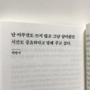 일월일일