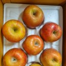 [은서네 과일가게] 사과(부사/정품) 2kg 리뷰/후기