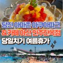 아산만로 | 당진 아마존아쿠아파크 주간권 끊고 놀기 &amp; 근처 카페 아산 인주한옥점 방문후기