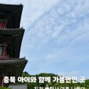 보탑사 | 충북 아이와 함께 가볼만한 곳 진천 보탑사 여름 나들이
