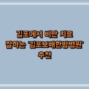 김포에서 비만 치료 잘하는 &#39;김포보배한방병원&#39; 추천