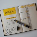 (주)인컴소프트 | 2025년 6월 : 월간 부수입 정산