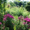 모네정원 이미지