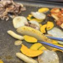 일품대패 이미지