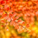 판교봄한의원 이미지