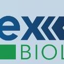 라이펙스 이미지