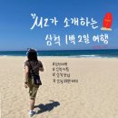 강원도 삼척해수욕장 1박2일 여행 - 서핑,맛집,해변카페