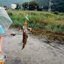 하동군 다목적 캠핑장 | 하동 다목적캠핑장 후기