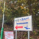 하동스윙점프 티스토리