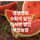 석정농장 이미지