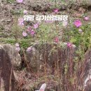 갈기산캠핑장 이미지