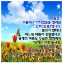 💐 여름의 시작을 알리는 입하(立夏) 아침 인사 💐 이미지