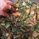 꼬꼬팜농장 이미지