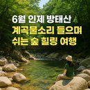 방태산 가는 길 | 6월 인제 방태산 자연휴양림 여행기! 계곡물소리 들으며 걷는 시원한 피서코스