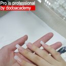 도도네일 이미지
