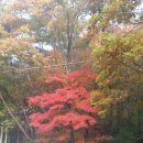 한양농원 이미지