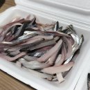 가화회센터
