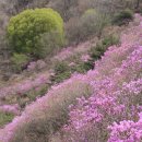 고려산 민박 이미지