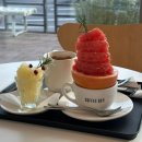 수목정 | [커피99.9] 제주공항근처카페 자몽디저트 맛집 꿀몽 골드꿀몽