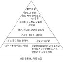 9-2-8 이미지