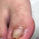 레푸스 울산점 이미지