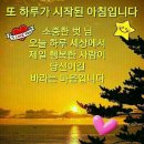웃는하루