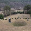 진화 묘 이미지