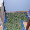 충렬농장 이미지