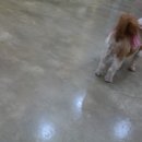 수원-0034 이미지