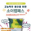 고패스랩 네이버블로그