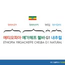 오멜라스 이미지