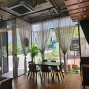 카페 첼리스타 | 강남 논현동 선정릉 클래식한 감성카페 첼리스타 _커피의 산미 모차르트 vs 베토벤 원두를 선택할 수...