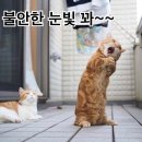탑코인노래연습장 이미지