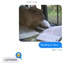 (주)순녹 이미지