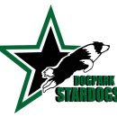 스타독스 이미지