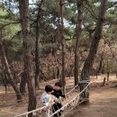 연암공원 유아숲체험원 이미지