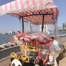 스토리 | 강릉여행) 내돈내산 바이크스토리 후기/ 경포둘레길 풍경