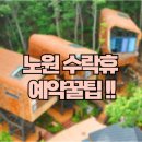 골드독트리멍 | 서울 노원 구청 수락휴 9월 예약 사이트 성공 꿀팁!(가격, 식당, 캠프파이어)