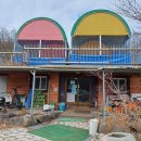 내안의숲 이미지