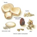 대구24시라이프동물의료센터 이미지