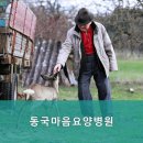 동국마음요양병원