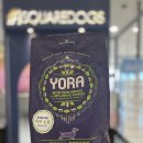 스퀘어독스 롯데남악점 이미지