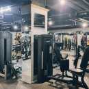 스타헬스 이미지