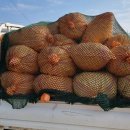 주식회사 종근 이미지