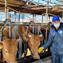 합천슈퍼 이미지