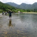 청량산 임도1 네이버블로그