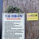 카페드숑 이미지