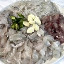 파도대게 이미지