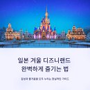 주식회사 드림와이즈컴퍼니 | 일본 겨울 디즈니랜드 완벽하게 즐기는 법