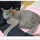 송정동물메디컬센터 이미지